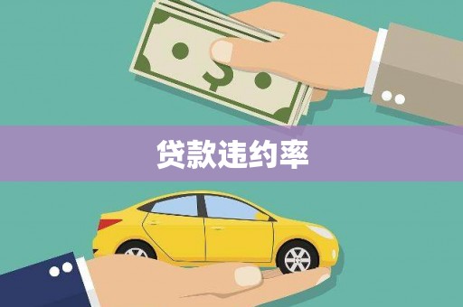绥德贷款违约率