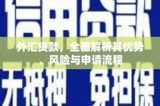 绥德外汇贷款，全面解析其优势、风险与申请流程