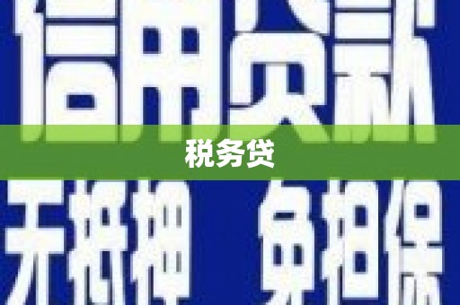 绥德税务贷