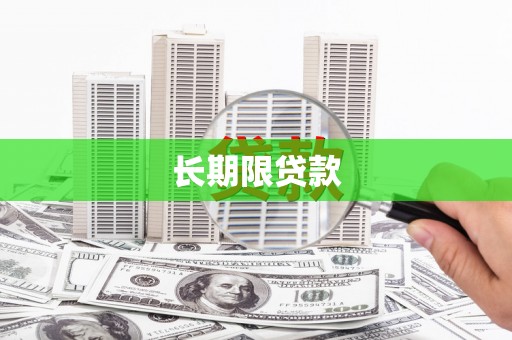绥德长期限贷款