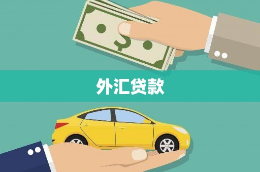 绥德外汇贷款