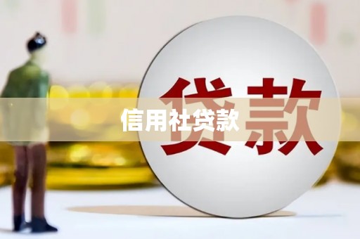 绥德信用社贷款