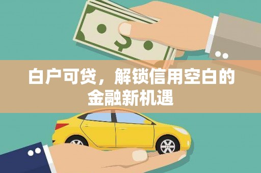 绥德白户可贷，解锁信用空白的金融新机遇