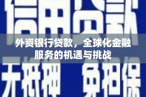 绥德外资银行贷款，全球化金融服务的机遇与挑战