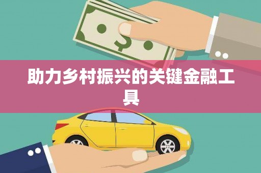 绥德助力乡村振兴的关键金融工具