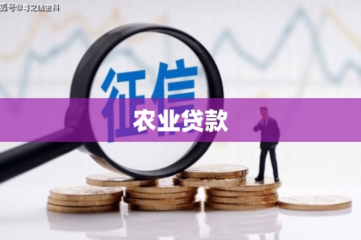 绥德农业贷款