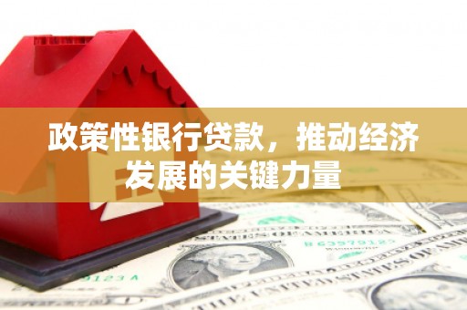绥德政策性银行贷款，推动经济发展的关键力量