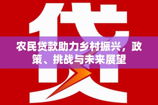 绥德农民贷款助力乡村振兴，政策、挑战与未来展望