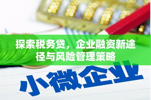 绥德探索税务贷，企业融资新途径与风险管理策略