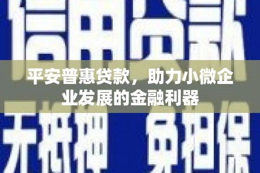 绥德平安普惠贷款，助力小微企业发展的金融利器