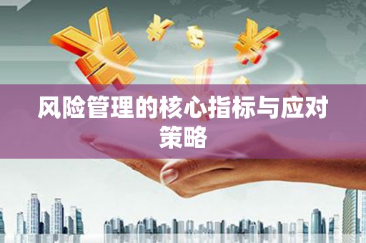 绥德风险管理的核心指标与应对策略