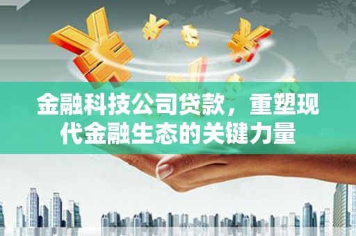 绥德金融科技公司贷款，重塑现代金融生态的关键力量
