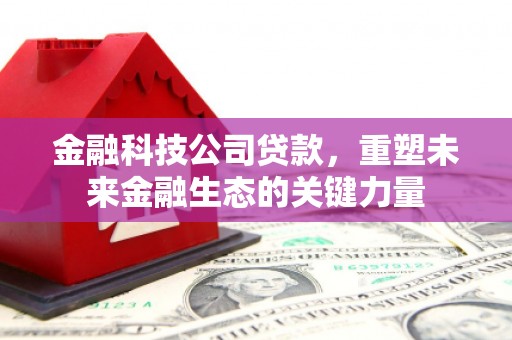 绥德金融科技公司贷款，重塑未来金融生态的关键力量