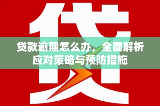 绥德贷款逾期怎么办，全面解析应对策略与预防措施