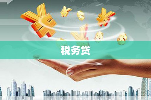 绥德税务贷