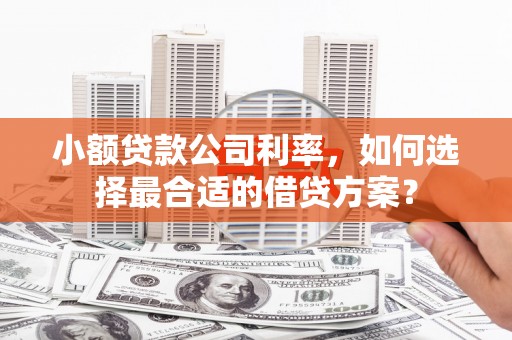 绥德小额贷款公司利率，如何选择最合适的借贷方案？