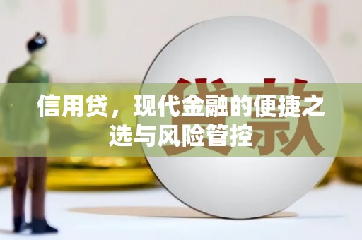 绥德信用贷，现代金融的便捷之选与风险管控