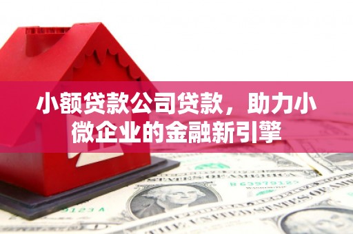 绥德小额贷款公司贷款，助力小微企业的金融新引擎