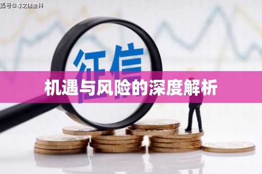 绥德机遇与风险的深度解析
