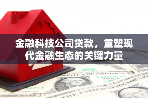 绥德金融科技公司贷款，重塑现代金融生态的关键力量