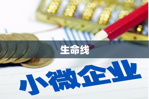 绥德生命线