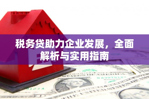 绥德税务贷助力企业发展，全面解析与实用指南