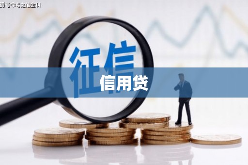 绥德信用贷