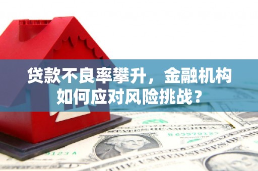绥德贷款不良率攀升，金融机构如何应对风险挑战？