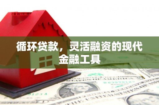 绥德循环贷款，灵活融资的现代金融工具