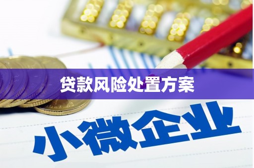 绥德贷款风险处置方案