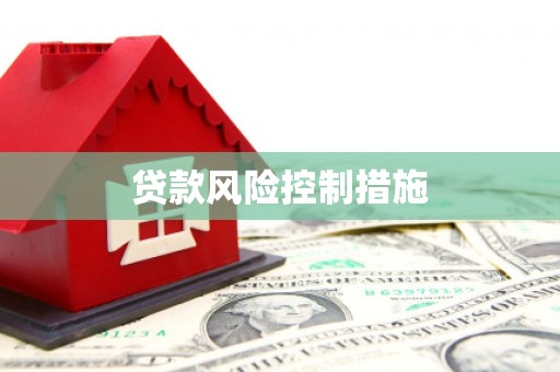 绥德贷款风险控制措施